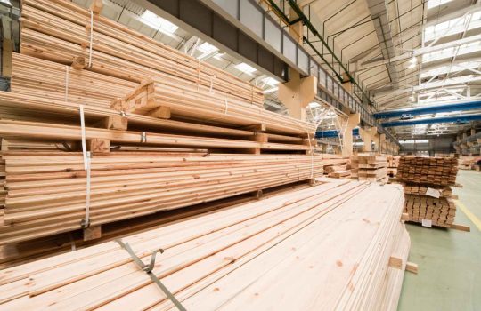 מנסרת עצים2